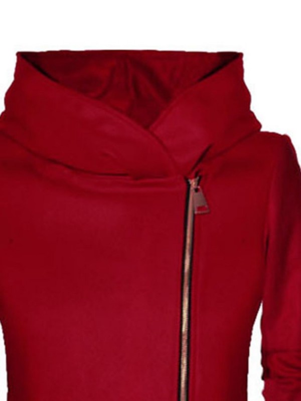 Regular Zipper Zipper Long Sleeve Winter Hoodie